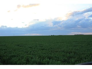 Property photo 22 - LAND AUCTION, 3255+/- Acres offered in 13 Tracts